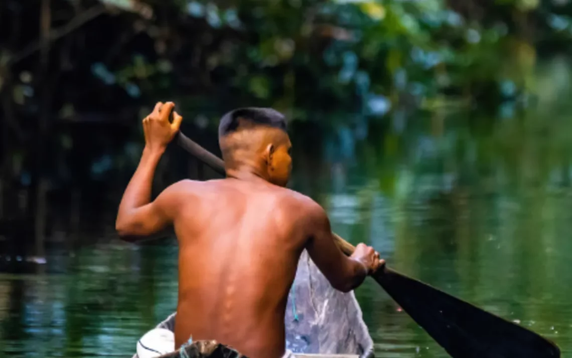 ensino ambiental, educação ecológica