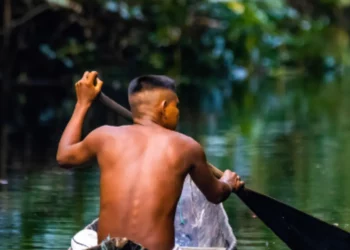 ensino ambiental, educação ecológica