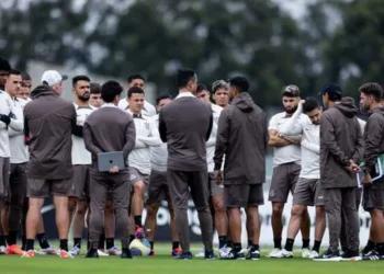 técnico, comandou, treinamento, preparação, estreou, no comando;