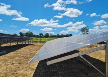 empresa-amigável-ao-meio-ambiente, empresa-verde;