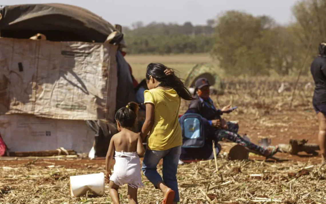 Proteção, Defesa, Vigilância;