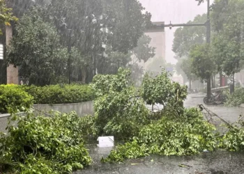 Tempestade, Furacão, Ciclone;